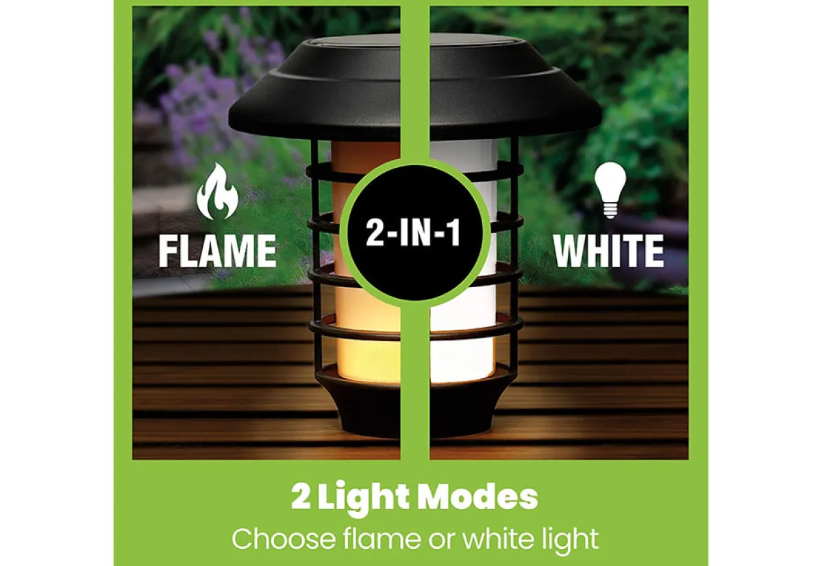 Maxsa Innovations Solar Pathway Lights (Set of 4)