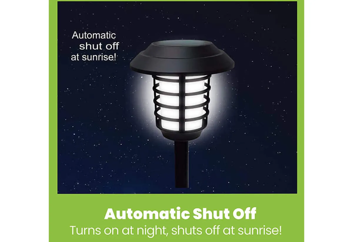 Maxsa Innovations Solar Pathway Lights (Set of 4)