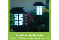 Maxsa Innovations Solar Pathway Lights (Set of 4)
