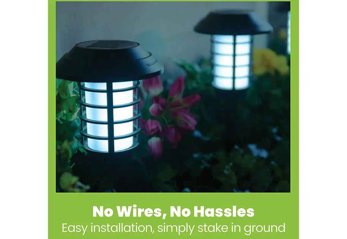 Maxsa Innovations Solar Pathway Lights (Set of 4)