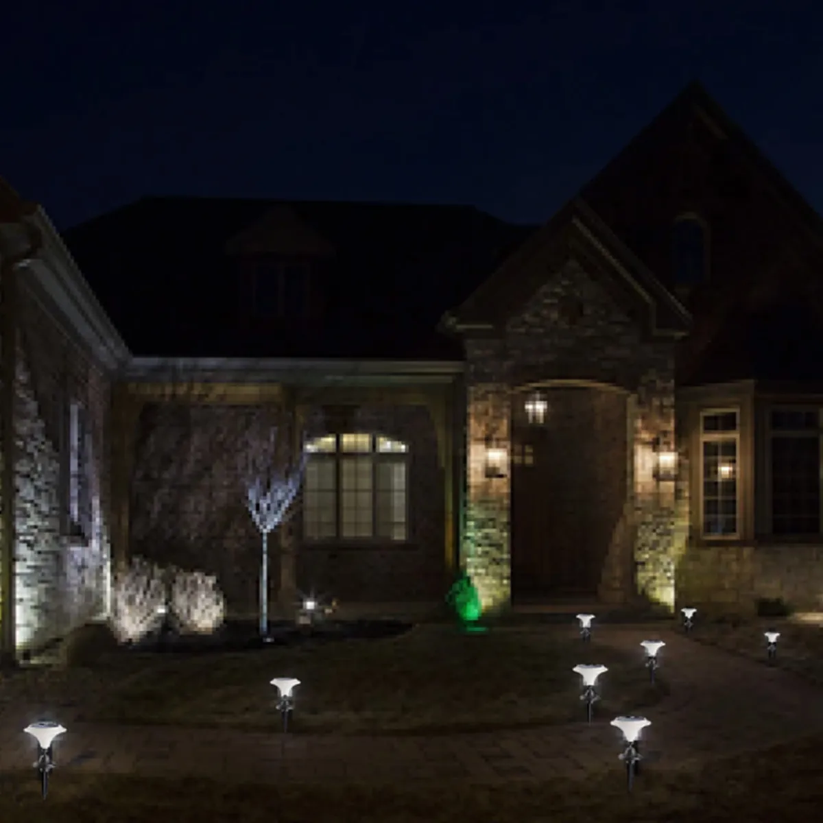 Xodus Innovations Solar-Powered LED Martini Lamp Lights (Set of 2)