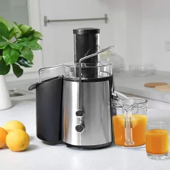GoPlus (Costway) 2-Speed Electric Juice Press