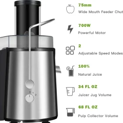 GoPlus (Costway) 2-Speed Electric Juice Press