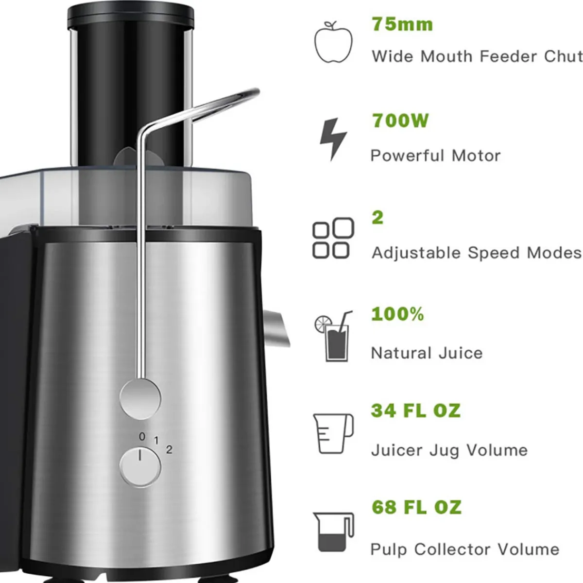 GoPlus (Costway) 2-Speed Electric Juice Press