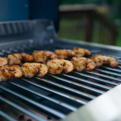 Sharper Image Tabletop Propane Gas Grill