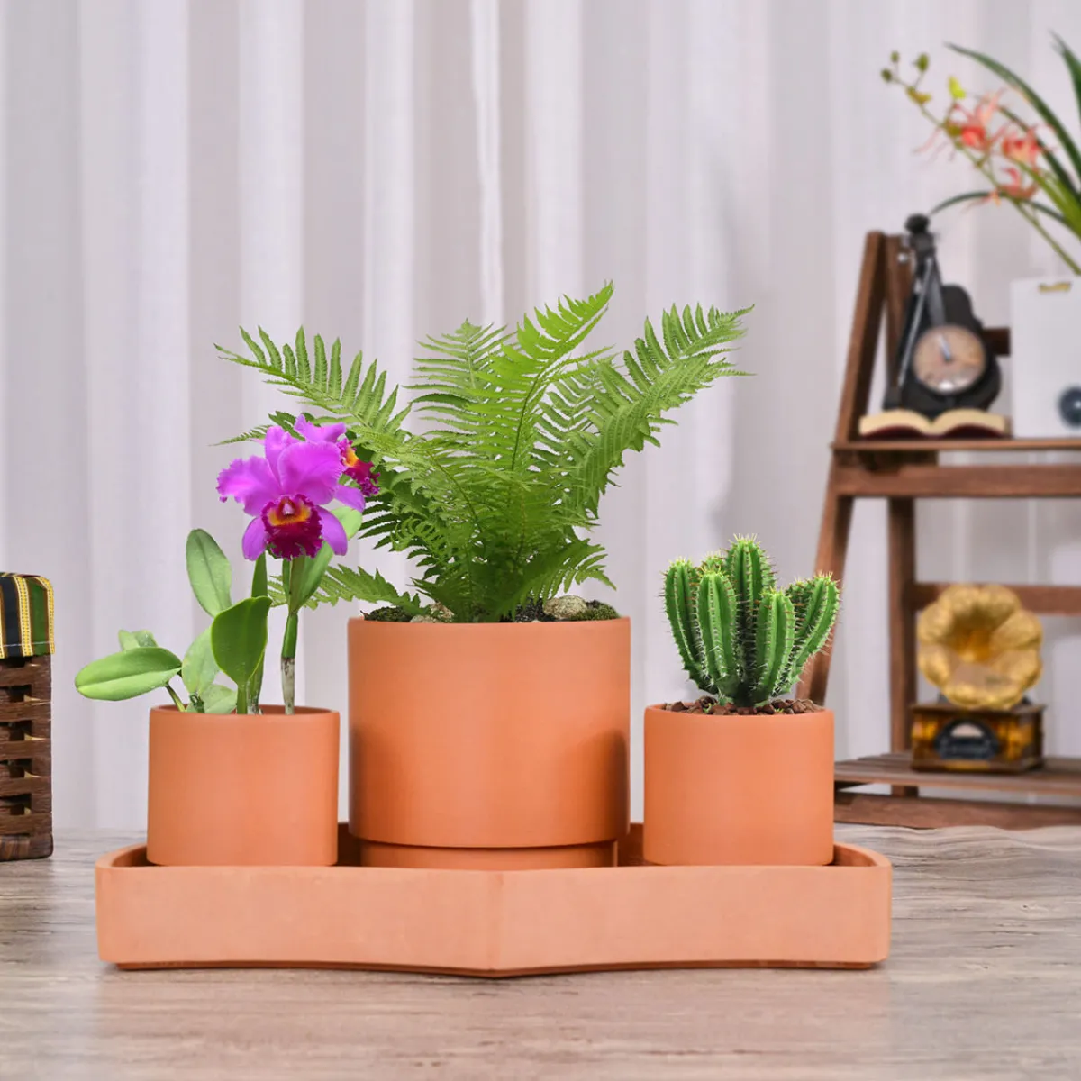 Bloomscape Tabletop Self-Watering Pot System for Indoor Plants (Set of 3)