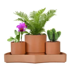 Bloomscape Tabletop Self-Watering Pot System for Indoor Plants (Set of 3)