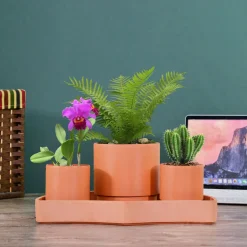 Bloomscape Tabletop Self-Watering Pot System for Indoor Plants (Set of 3)