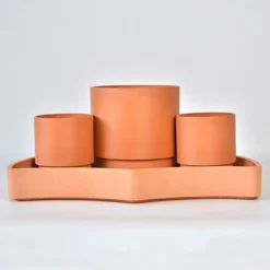 Bloomscape Tabletop Self-Watering Pot System for Indoor Plants (Set of 3)