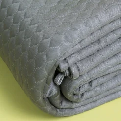 Applied Nonsense Inc Thermoregulating Blanket