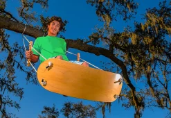 Flybar Inc Tree Swing Surf Board