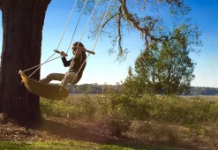 Flybar Inc Tree Swing Surf Board