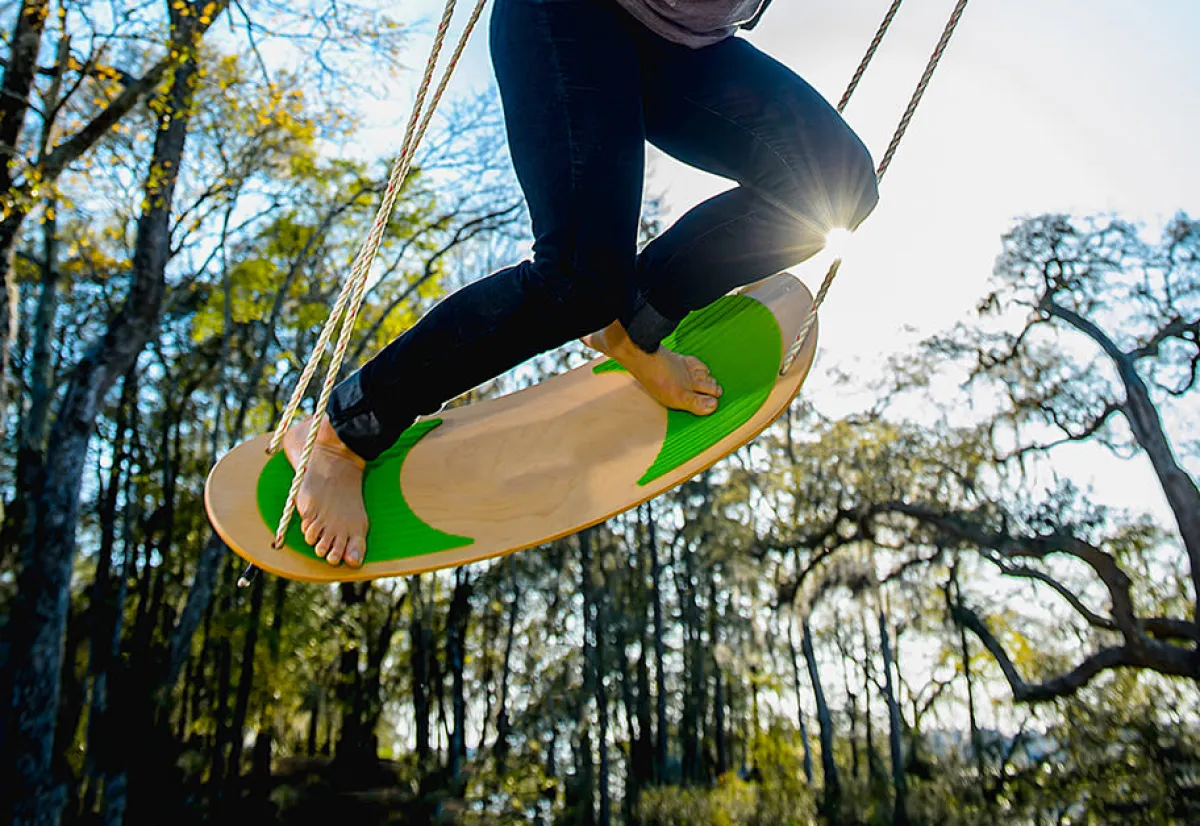 Flybar Inc Tree Swing Surf Board