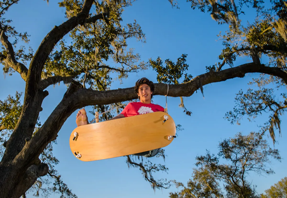 Flybar Inc Tree Swing Surf Board