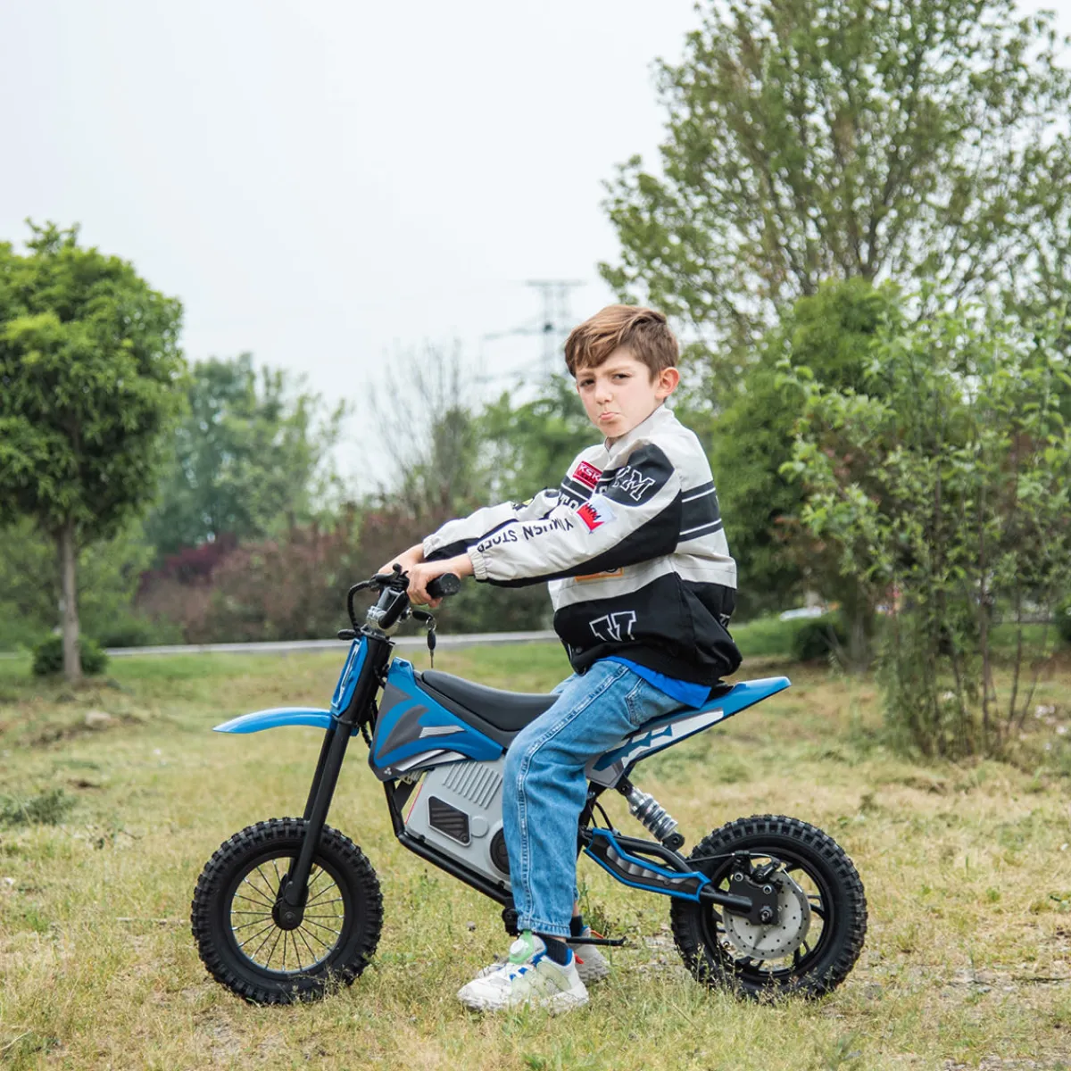 Glare Technology USA Inc 36V E-Dirt Bike with Brushless Motor