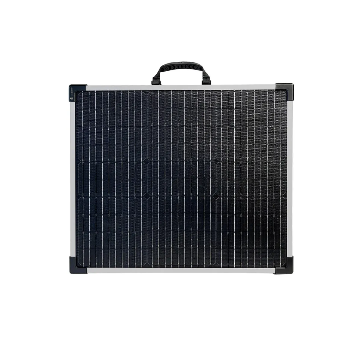 Lion Energy, LLC 24V 100W Portable Solar Panel for 3000W Portable Electric Generator