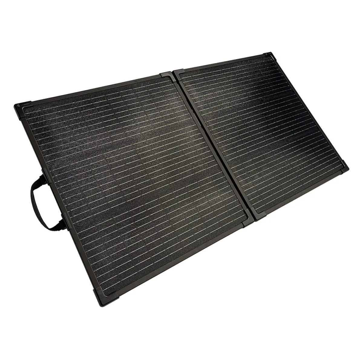 Lion Energy, LLC 12V 100W Portable Solar Panel for 530W Portable Electric Generator