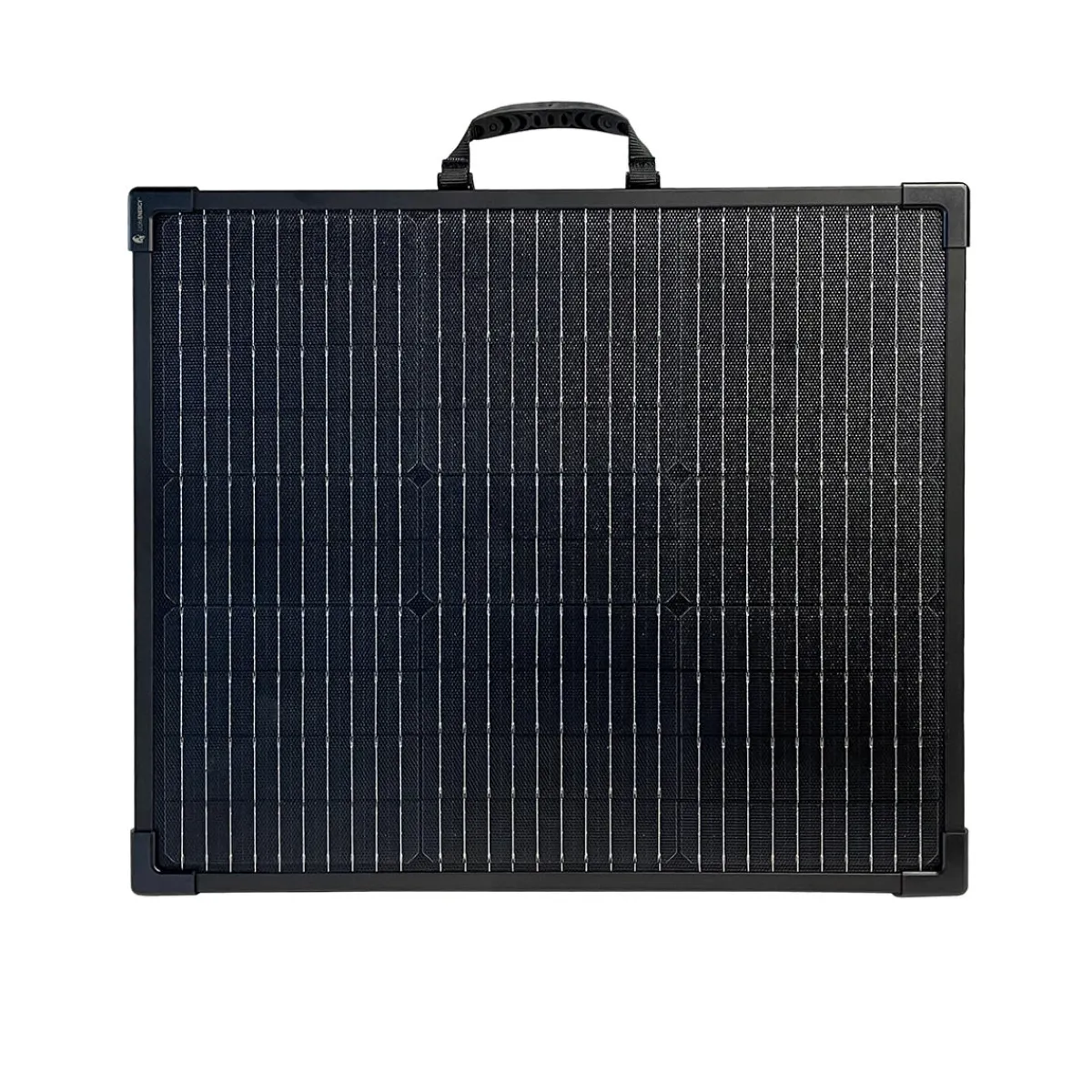 Lion Energy, LLC 12V 100W Portable Solar Panel for 530W Portable Electric Generator