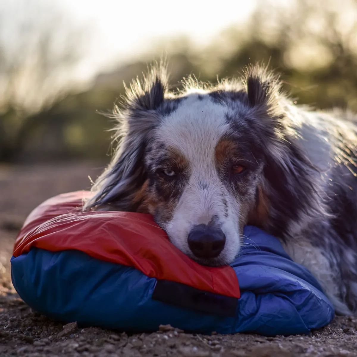 Rightline Gear Versa Blanket