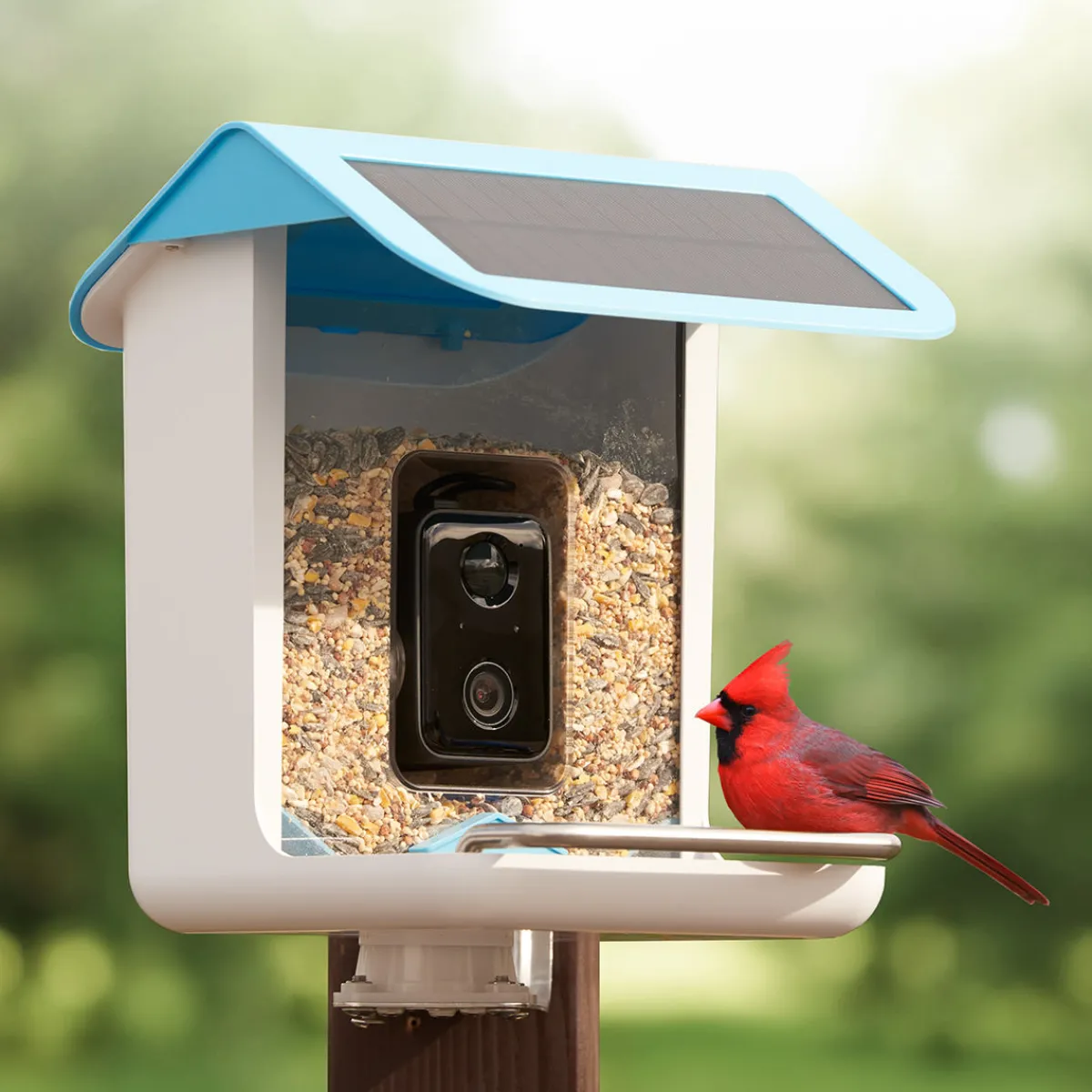 Sharper Image Video Camera Bird Feeder by