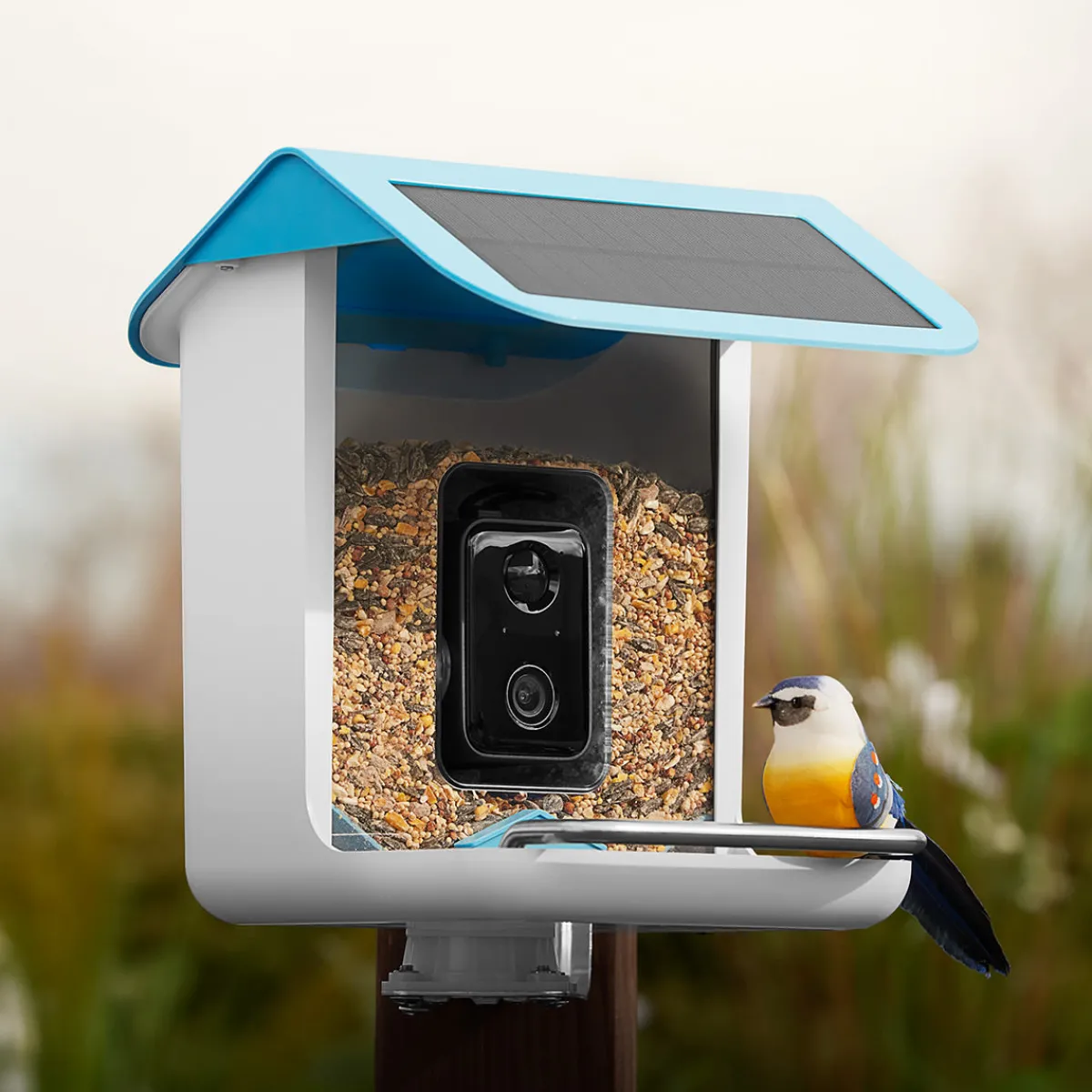 Sharper Image Video Camera Bird Feeder by