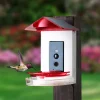 Sharper Image Video Camera Hummingbird Feeder by