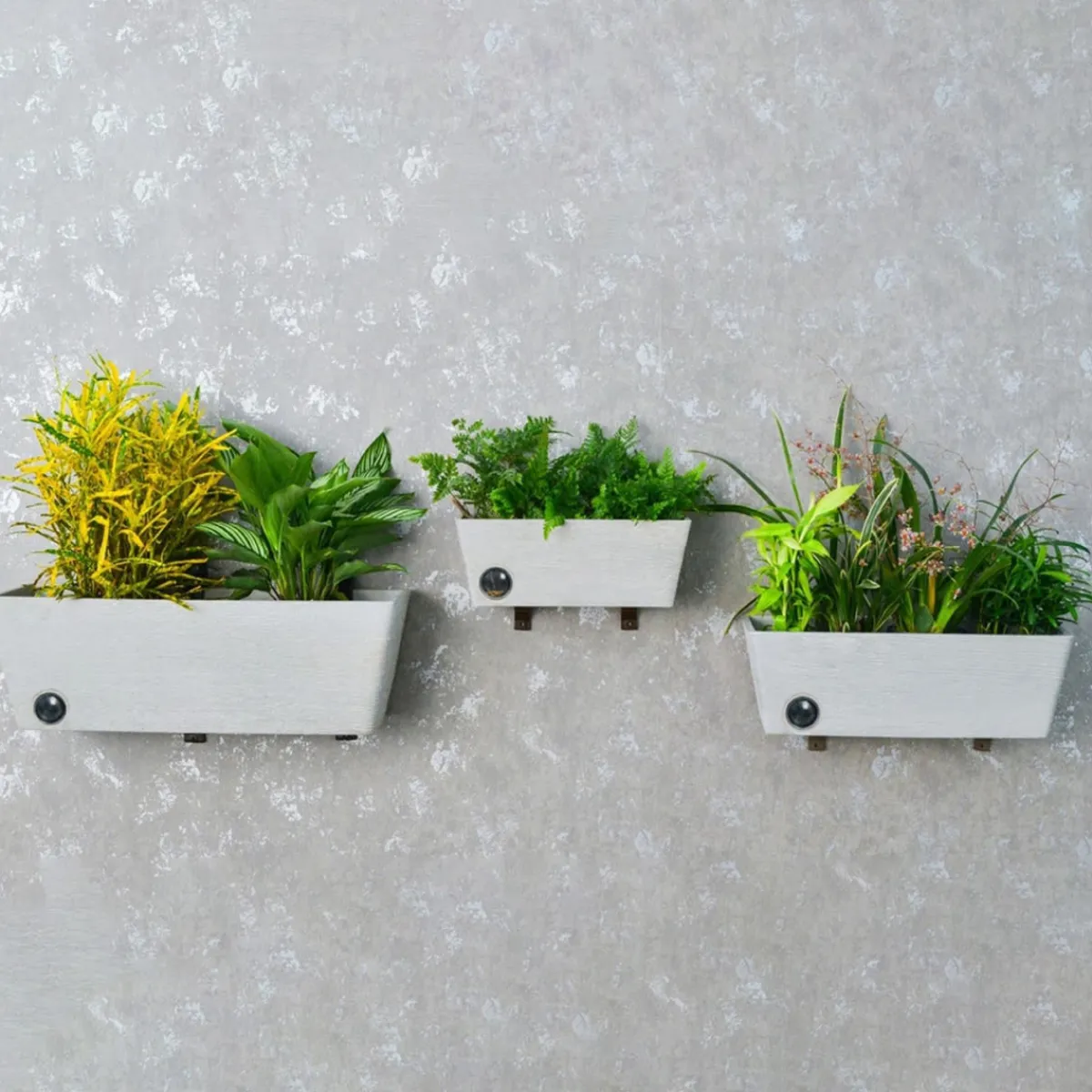 EP DESIGN LAB Wall Hanging Self-Watering Pot System for Indoor Plants (Set of 3)