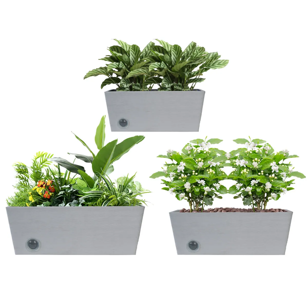 EP DESIGN LAB Wall Hanging Self-Watering Pot System for Indoor Plants (Set of 3)
