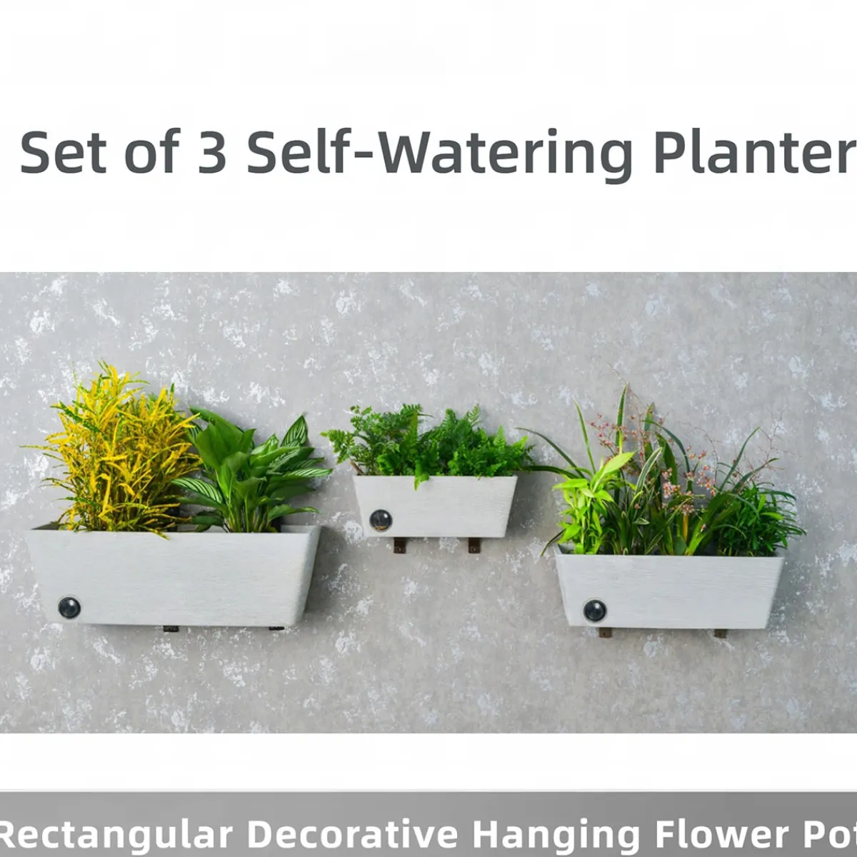 EP DESIGN LAB Wall Hanging Self-Watering Pot System for Indoor Plants (Set of 3)