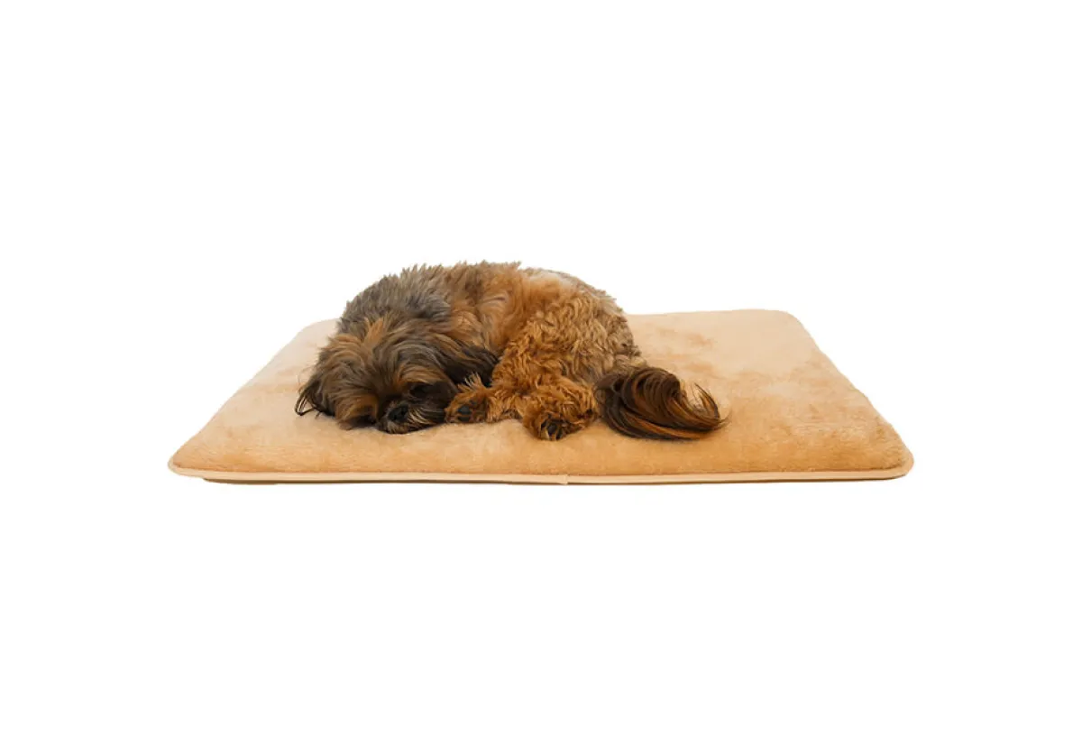The Green Pet Shop (Cool Care Technologies) Warming Pet Pad