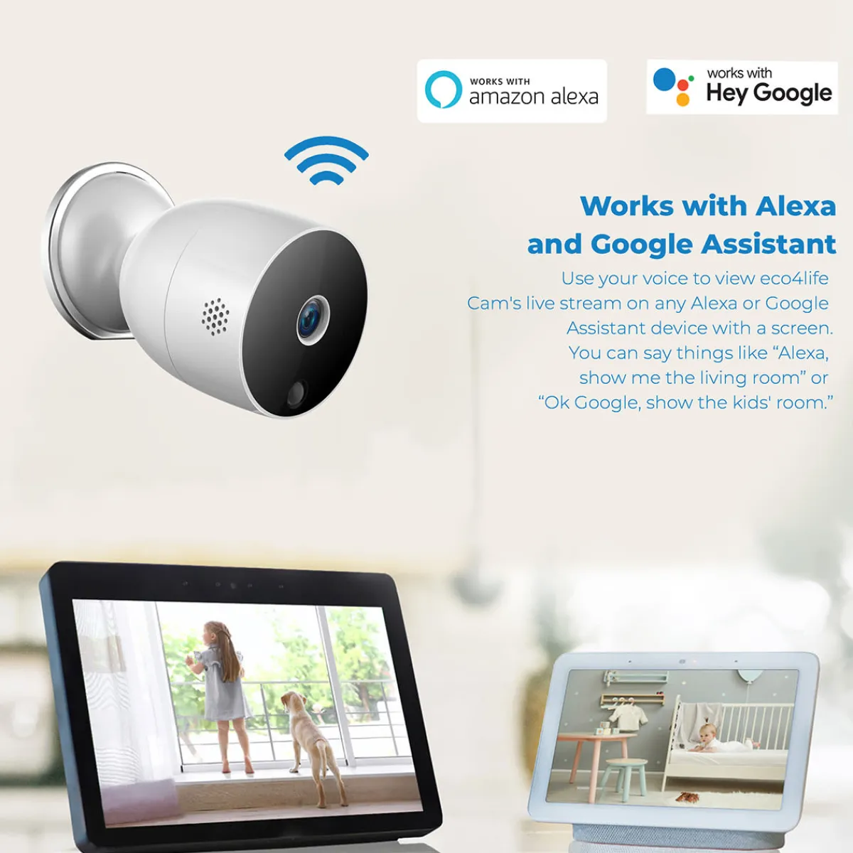 SCTP Inc (RSPA and Sungale) Wireless 1080P Outdoor Smart Security Camera