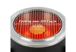 Shinerich International Inc 22'' Outdoor Smokeless Wood-Burning Fireplace